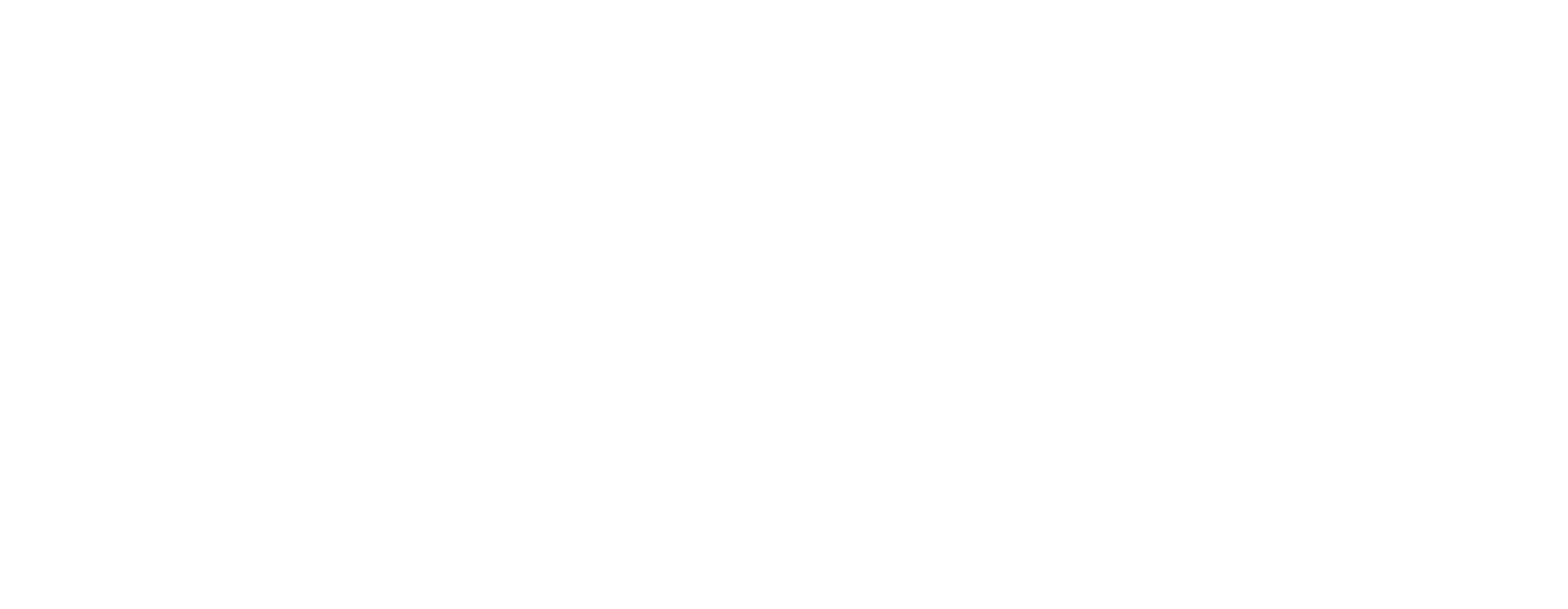 ITENTER INFORMATION TECHNOLOGY